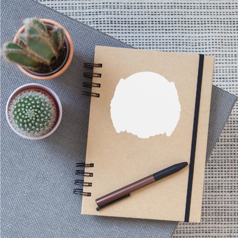 Romantic Camping By The Lake In The Forest