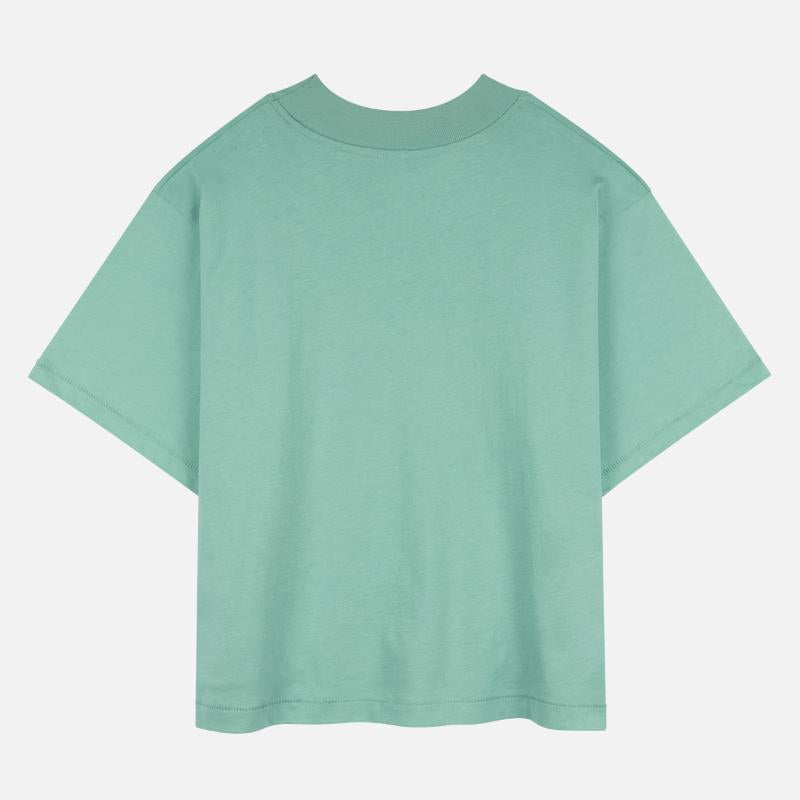 CHICKEN on top of RV