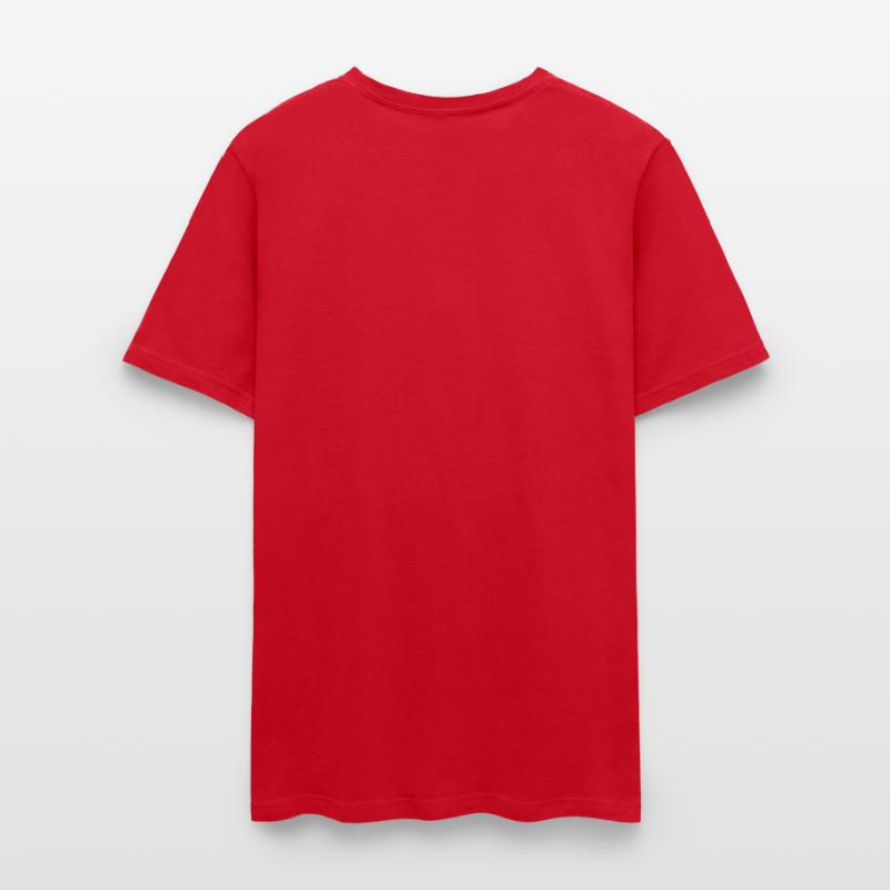 Charleston Sc Park Palm Tree Fort Sumter South