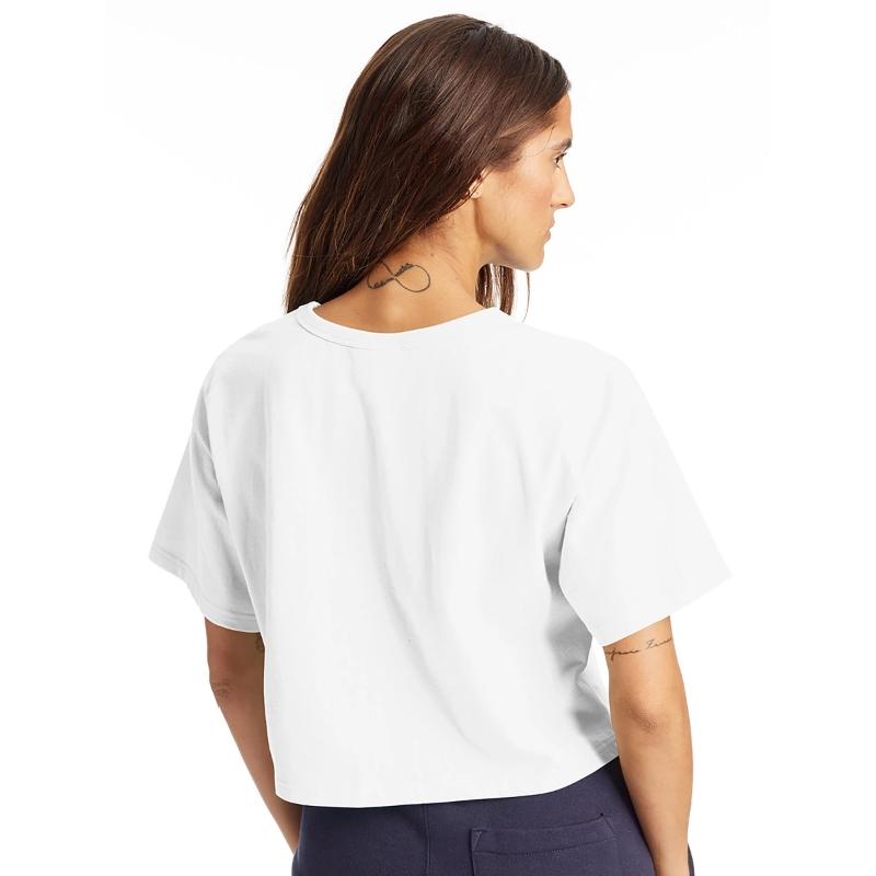 Dog Looks Funny Cheeky Grin Happy Smile Fun Comic