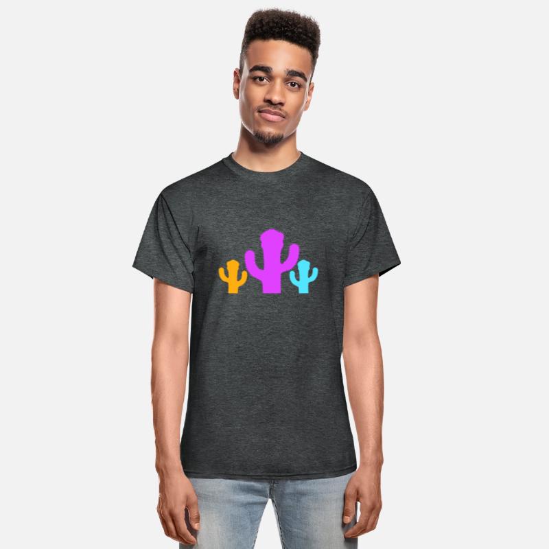 3 Colorful Cacti Three Cactus Prickly Desert Plant