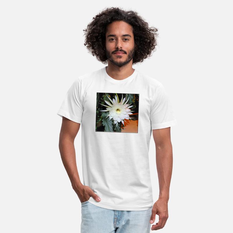 Baby Jesus Cactus Blooming - 1