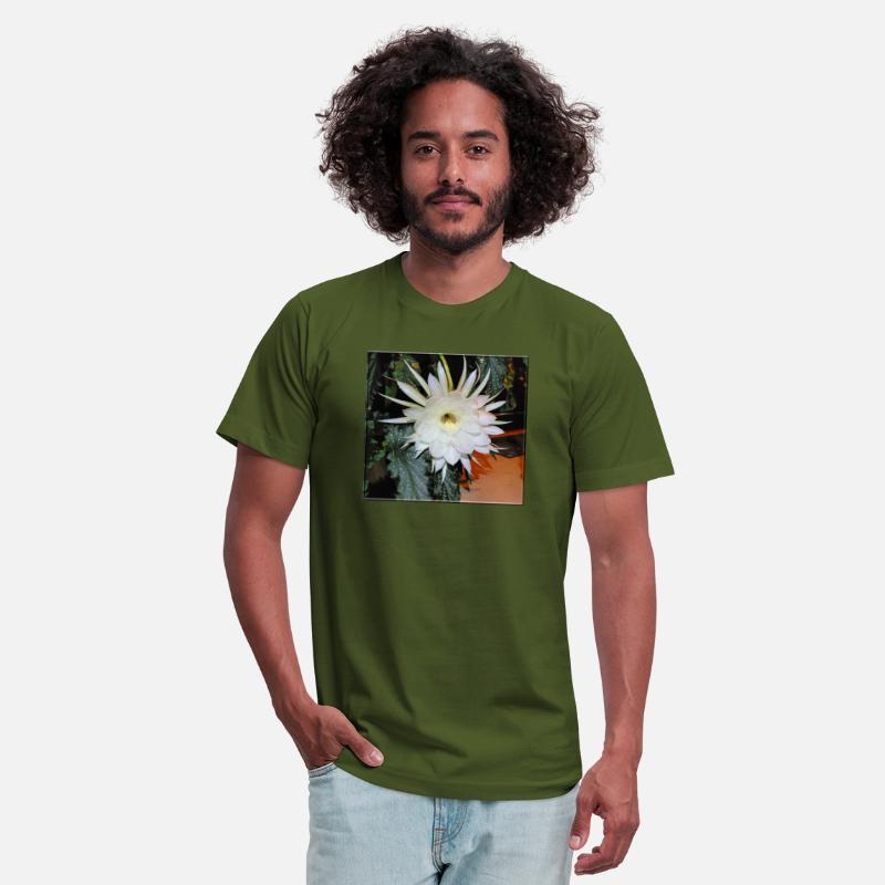 Baby Jesus Cactus Blooming - 1