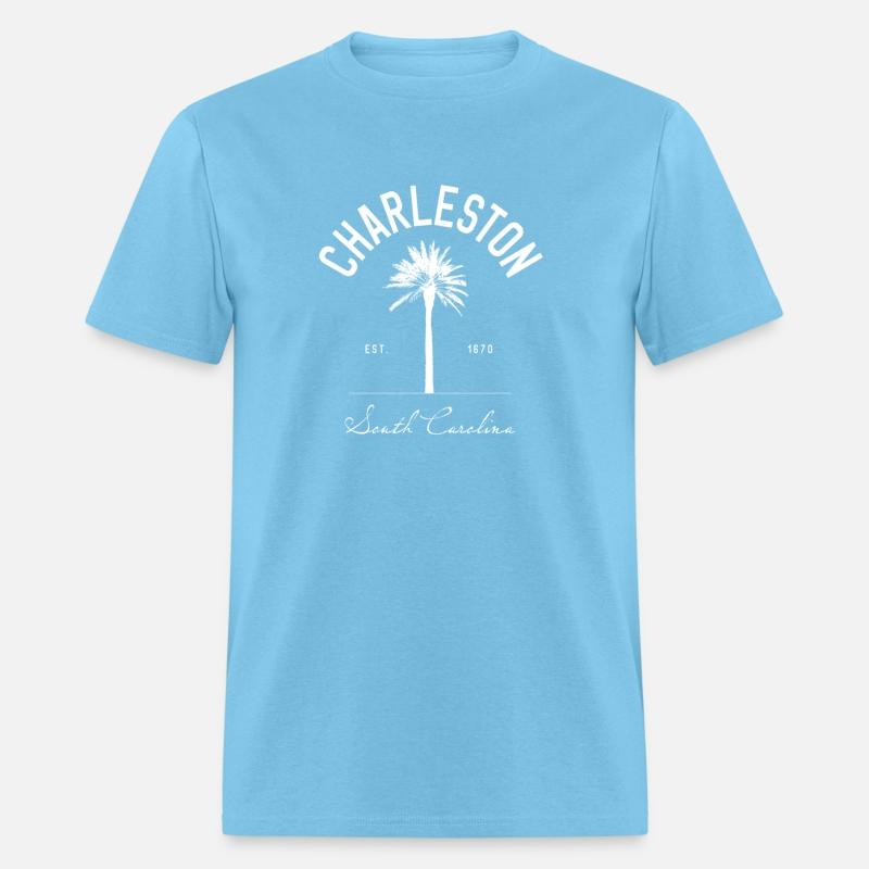 Charleston Sc Park Palm Tree Fort Sumter South