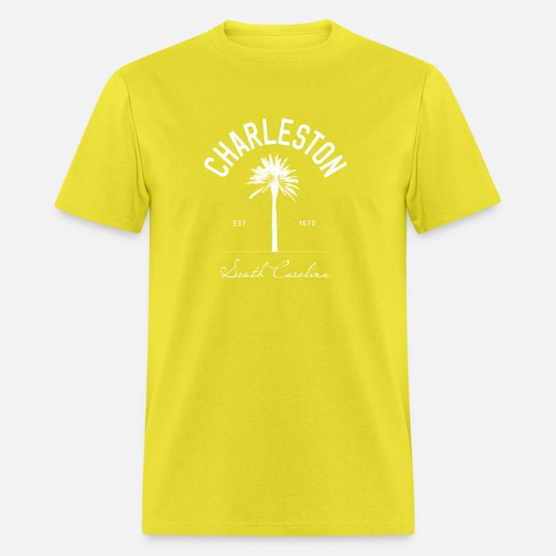 Charleston Sc Park Palm Tree Fort Sumter South