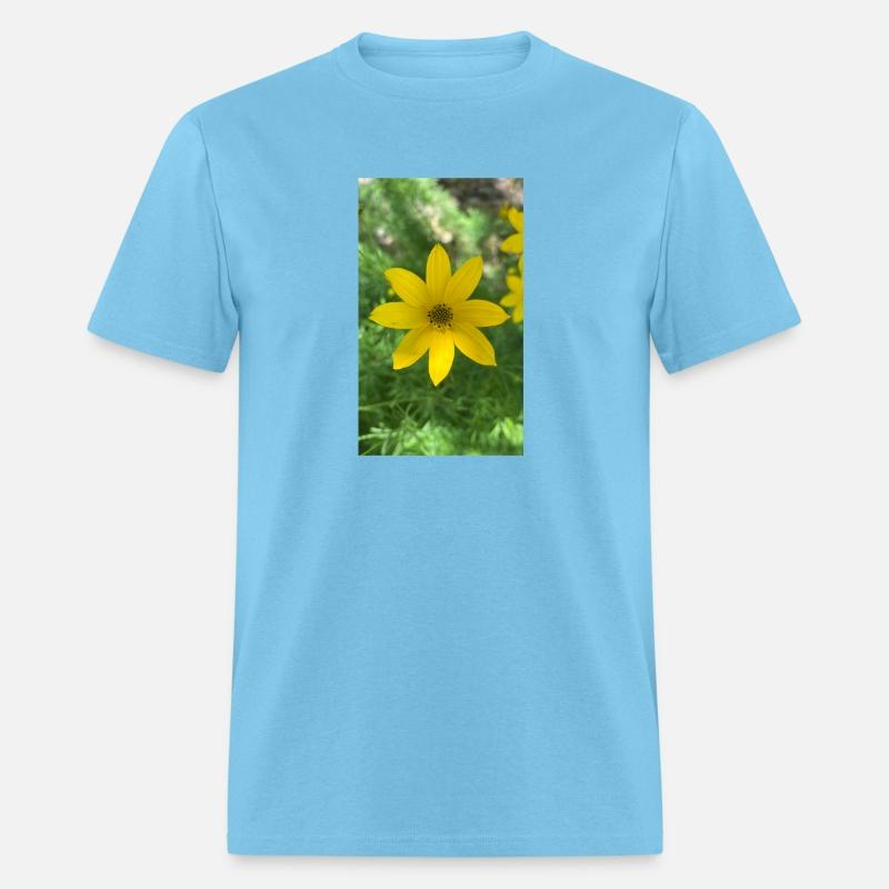 Ephemeral flowers of life - 1