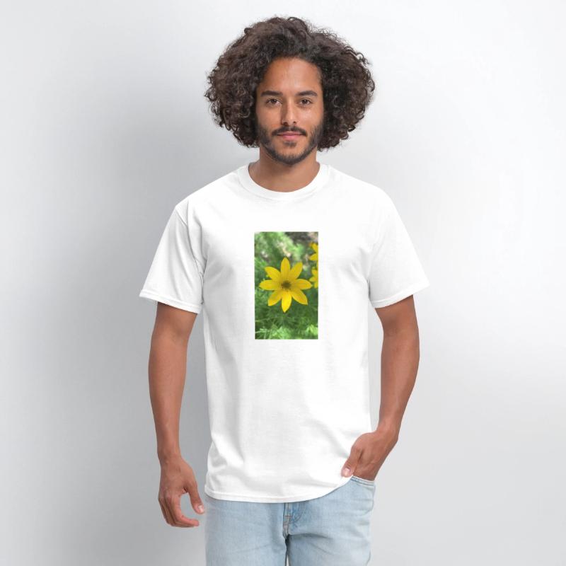 Ephemeral flowers of life - 1