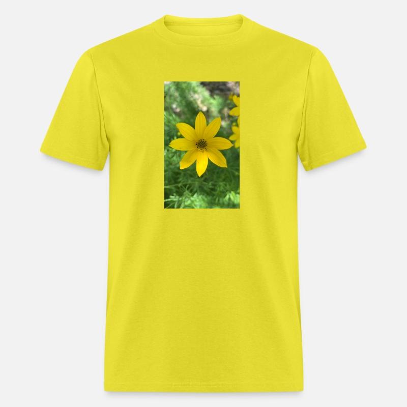 Ephemeral flowers of life - 1