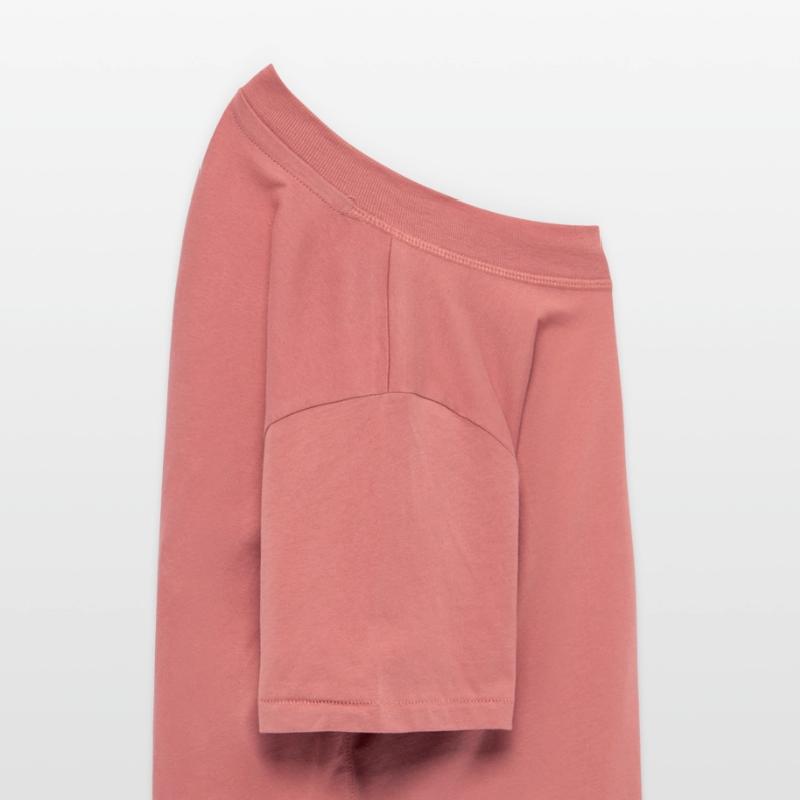 Pride and Power King Lion